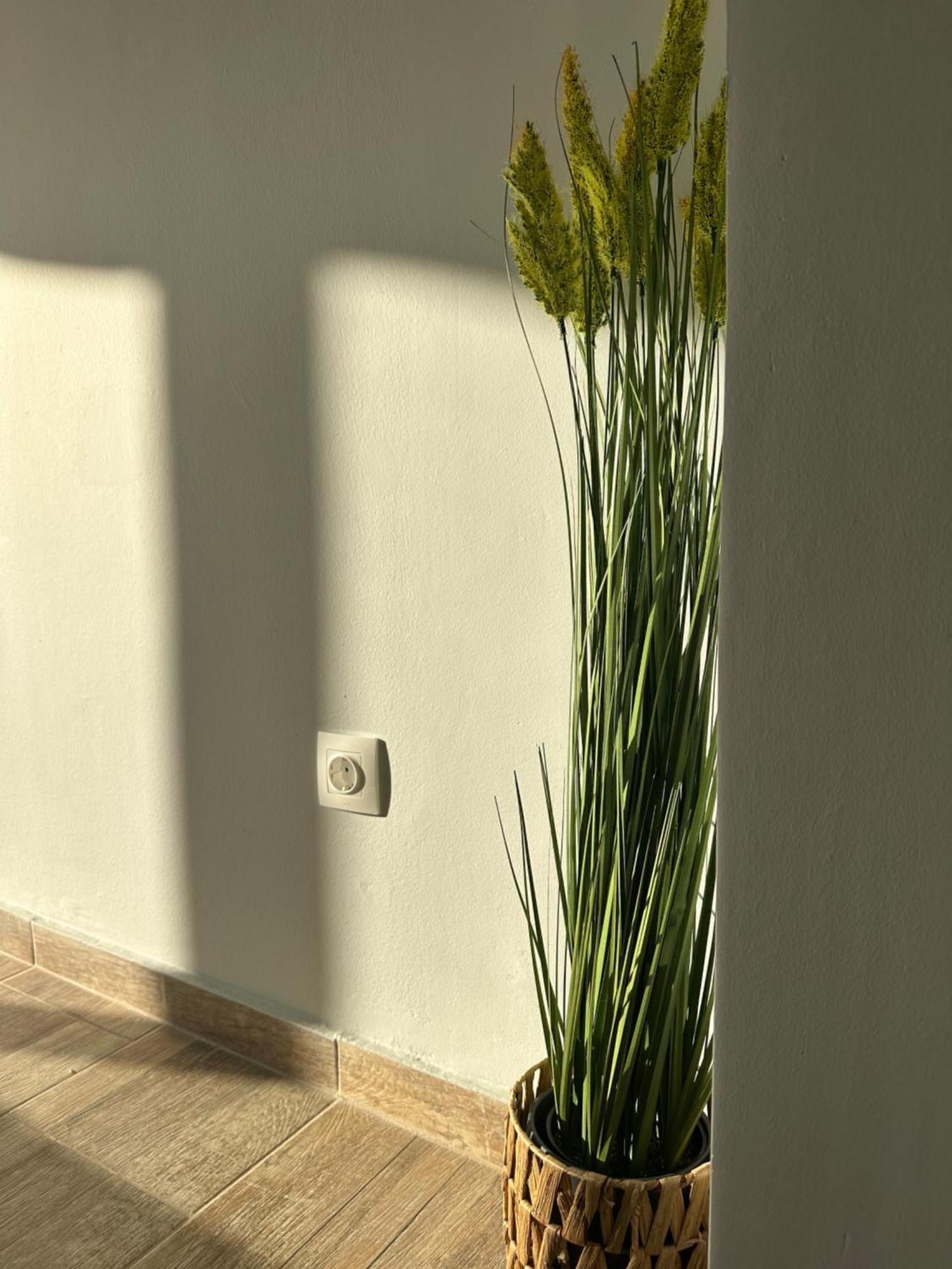 אתונה Glyfada Sunset Seaview Cozy Apartment A מראה חיצוני תמונה